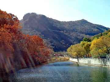打胎药从哪里购买的安全青泥医院打胎药怎么样（青泥医院打胎药怎么样啊多少钱）